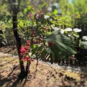 ヒメ日記 2025/10/02 11:28 投稿 ちずる 熟女の風俗最終章 高崎店