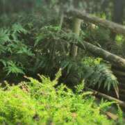 ヒメ日記 2025/10/02 12:10 投稿 ちずる 熟女の風俗最終章 高崎店