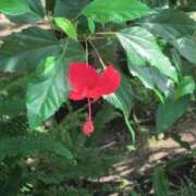 ヒメ日記 2025/10/02 12:24 投稿 ちずる 熟女の風俗最終章 高崎店