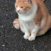 ヒメ日記 2025/10/03 08:38 投稿 ちずる 熟女の風俗最終章 高崎店