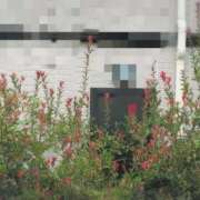 ヒメ日記 2025/10/04 09:43 投稿 ちずる 熟女の風俗最終章 高崎店