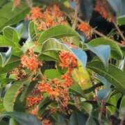 ヒメ日記 2025/10/08 08:55 投稿 ちずる 熟女の風俗最終章 高崎店