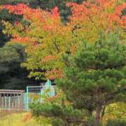 ヒメ日記 2025/10/14 09:58 投稿 ちずる 熟女の風俗最終章 高崎店