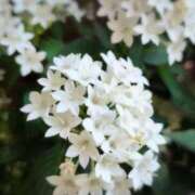 ヒメ日記 2025/10/20 08:58 投稿 ちずる 熟女の風俗最終章 高崎店