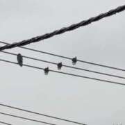 ヒメ日記 2025/10/22 18:50 投稿 ちずる 熟女の風俗最終章 高崎店