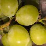 ヒメ日記 2025/10/24 12:58 投稿 ちずる 熟女の風俗最終章 高崎店