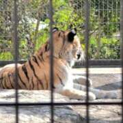 ヒメ日記 2025/10/24 13:28 投稿 ちずる 熟女の風俗最終章 高崎店