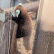 ヒメ日記 2025/10/25 18:08 投稿 ちずる 熟女の風俗最終章 高崎店