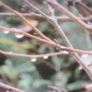 ヒメ日記 2025/10/26 09:09 投稿 ちずる 熟女の風俗最終章 高崎店