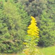 ヒメ日記 2025/10/26 17:58 投稿 ちずる 熟女の風俗最終章 高崎店