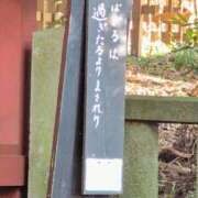 ヒメ日記 2025/10/30 13:58 投稿 ちずる 熟女の風俗最終章 高崎店
