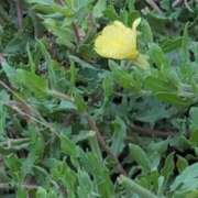 ヒメ日記 2025/10/31 07:12 投稿 ちずる 熟女の風俗最終章 高崎店