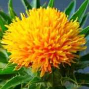 ヒメ日記 2025/11/01 18:48 投稿 ちずる 熟女の風俗最終章 高崎店