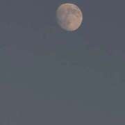 ヒメ日記 2025/11/03 20:39 投稿 ちずる 熟女の風俗最終章 高崎店