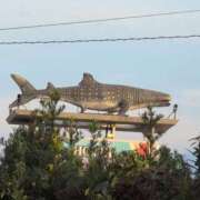 ヒメ日記 2025/11/07 16:48 投稿 ちずる 熟女の風俗最終章 高崎店