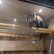 ヒメ日記 2025/11/19 13:18 投稿 ちずる 熟女の風俗最終章 高崎店