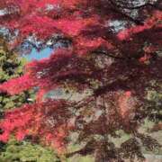 ヒメ日記 2025/11/30 20:32 投稿 ちずる 熟女の風俗最終章 高崎店