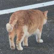 ヒメ日記 2025/12/16 17:33 投稿 ちずる 熟女の風俗最終章 高崎店