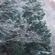 ヒメ日記 2025/12/18 08:18 投稿 ちずる 熟女の風俗最終章 高崎店