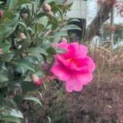 ヒメ日記 2025/12/20 08:18 投稿 ちずる 熟女の風俗最終章 高崎店