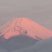 ヒメ日記 2026/01/05 07:18 投稿 ちずる 熟女の風俗最終章 高崎店