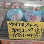 ヒメ日記 2026/01/07 12:09 投稿 ちずる 熟女の風俗最終章 高崎店