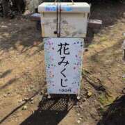 ヒメ日記 2026/01/15 11:58 投稿 ちずる 熟女の風俗最終章 高崎店