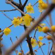 ヒメ日記 2026/01/20 10:48 投稿 ちずる 熟女の風俗最終章 高崎店