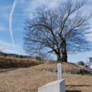 ヒメ日記 2026/02/10 11:48 投稿 ちずる 熟女の風俗最終章 高崎店