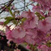 ヒメ日記 2026/02/13 08:45 投稿 ちずる 熟女の風俗最終章 高崎店