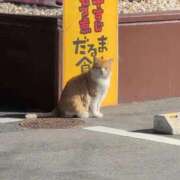 ヒメ日記 2026/02/15 12:48 投稿 ちずる 熟女の風俗最終章 高崎店