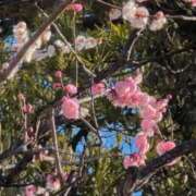 ヒメ日記 2026/02/18 12:19 投稿 ちずる 熟女の風俗最終章 高崎店