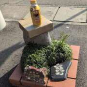 ヒメ日記 2026/02/20 11:58 投稿 ちずる 熟女の風俗最終章 高崎店