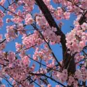 ヒメ日記 2026/02/20 20:48 投稿 ちずる 熟女の風俗最終章 高崎店