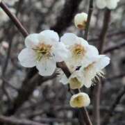 ヒメ日記 2026/02/20 21:09 投稿 ちずる 熟女の風俗最終章 高崎店