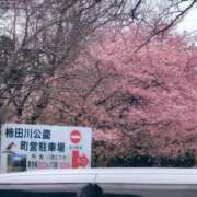 ヒメ日記 2026/02/22 10:48 投稿 ちずる 熟女の風俗最終章 高崎店