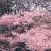 ヒメ日記 2026/02/23 06:38 投稿 ちずる 熟女の風俗最終章 高崎店