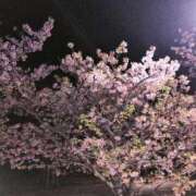 ヒメ日記 2026/02/25 07:28 投稿 ちずる 熟女の風俗最終章 高崎店