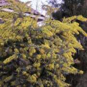 ヒメ日記 2026/03/01 08:49 投稿 ちずる 熟女の風俗最終章 高崎店