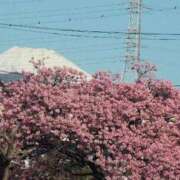 ヒメ日記 2026/03/03 18:33 投稿 ちずる 熟女の風俗最終章 高崎店