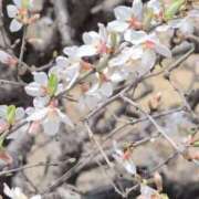 ヒメ日記 2026/03/23 12:27 投稿 ちずる 熟女の風俗最終章 高崎店