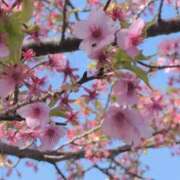 ヒメ日記 2026/03/24 09:26 投稿 ちずる 熟女の風俗最終章 高崎店