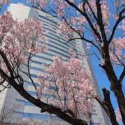 ヒメ日記 2026/03/24 11:48 投稿 ちずる 熟女の風俗最終章 高崎店