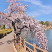 ヒメ日記 2026/03/24 13:18 投稿 ちずる 熟女の風俗最終章 高崎店