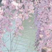 ヒメ日記 2026/03/24 20:45 投稿 ちずる 熟女の風俗最終章 高崎店