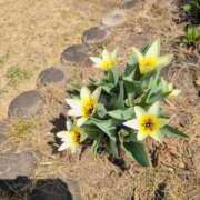 ヒメ日記 2026/03/27 08:00 投稿 ちずる 熟女の風俗最終章 高崎店