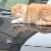 ヒメ日記 2026/03/30 09:38 投稿 ちずる 熟女の風俗最終章 高崎店