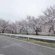 ヒメ日記 2026/03/31 09:28 投稿 ちずる 熟女の風俗最終章 高崎店