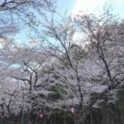 ヒメ日記 2026/04/08 07:28 投稿 ちずる 熟女の風俗最終章 高崎店