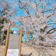 ヒメ日記 2026/04/08 13:48 投稿 ちずる 熟女の風俗最終章 高崎店